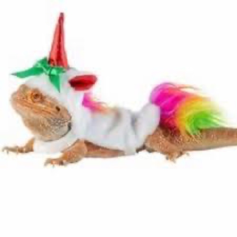 UNICORN COSTUME lizard & small animal